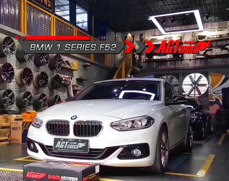 Kies-Motorsports AGT Shock AGT Shock 2017+ F52 1 SERIES MK3 Front Inverted Fork/Rear Flip - Front Spring Rate: 6K180 Rear Spring Rate: 6K160