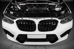 Kies-Motorsports Fabspeed Motorsports Eventuri BMW F97 X3M / F98 X4M Black Carbon Intake System