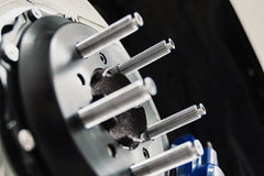 Kies-Motorsports iND Distribution MMX Performance BMW Wheel Stud Kit – Ball Seat M14x1.25