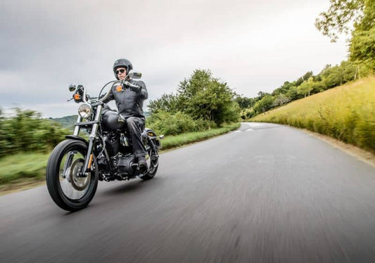 Kies-Motorsports Ohlins Ohlins 04-20 Harley-Davidson Sportster XL STX 36 Twin Shock Absorber