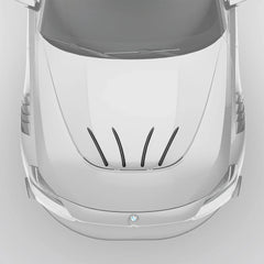 Kies-Motorsports Revozport Revozport BMW M2 G87 Carbon Fiber Hood Strakes