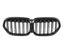 Kies-Motorsports NWCarbon Haus X1 F48/F49 LCI Double Slat Dry Carbon Fiber Grill