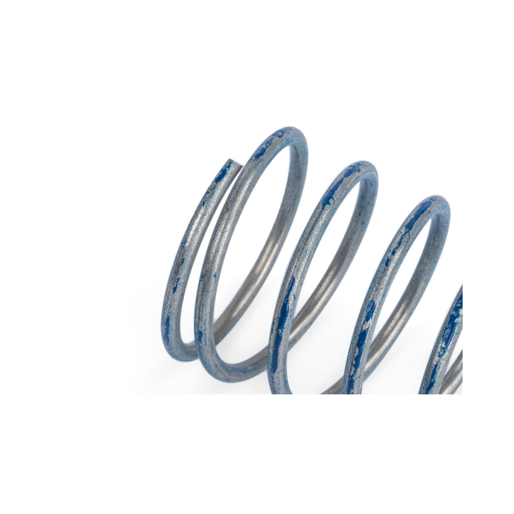 APR R1 DV Higher Pressure Spring — Z1001791