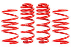 APR Roll-Control Lowering Springs - VW MK8/MK8.5 GTI (2022-2026) — SUS00016