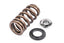 Kies-Motorsports APR APR Valve Spring Kit (1 Set)