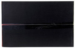 Kies-Motorsports AEM Induction AEM Cold Air Intake System C.A.S. BMW 325 01-03 2.5L; 328 99-00 2.8L