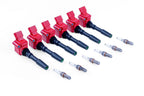 Kies-Motorsports APR APR Ignition Coil & Spark Plug Kit (3.0T EA839 6-cylinder engines)