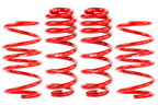 Kies-Motorsports APR APR Roll-Control Lowering Springs - VW MK8/MK8.5 GTI (2022-2026) MK8 GTI