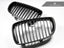 Kies-Motorsports AutoTecknic USA AutoTecknic Carbon Fiber Front Grille Set - E82/ E88 1-Series & 1M
