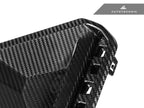 Kies-Motorsports AutoTecknic USA AutoTecknic Dry Carbon Rear Bumper Reflector Trim Set - G87 M2