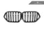 Kies-Motorsports AutoTecknic USA AutoTecknic Dual-Slat Carbon Fiber Front Grille - G06 X6 LCI G06 X6 LCI