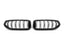 Kies-Motorsports AutoTecknic USA AutoTecknic Dual-Slat Carbon Fiber Front Grille Set - BMW G29 Z4
