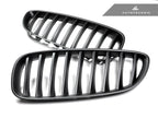 Kies-Motorsports AutoTecknic USA AutoTecknic Painted Front Grille Set - E89 Z4 Series