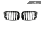 Kies-Motorsports AutoTecknic USA AutoTecknic Replacement Carbon Fiber Front Grille Set - G01 X3 | G02 X4 Pre-LCI
