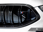 Kies-Motorsports AutoTecknic USA AutoTecknic Replacement Dry Carbon Grille Surround - F9X M8