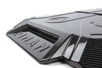 Kies-Motorsports Dinan Dinan 20-25 BMW X3 M/X4 M (F97/F98) Carbon Fiber Engine Cover
