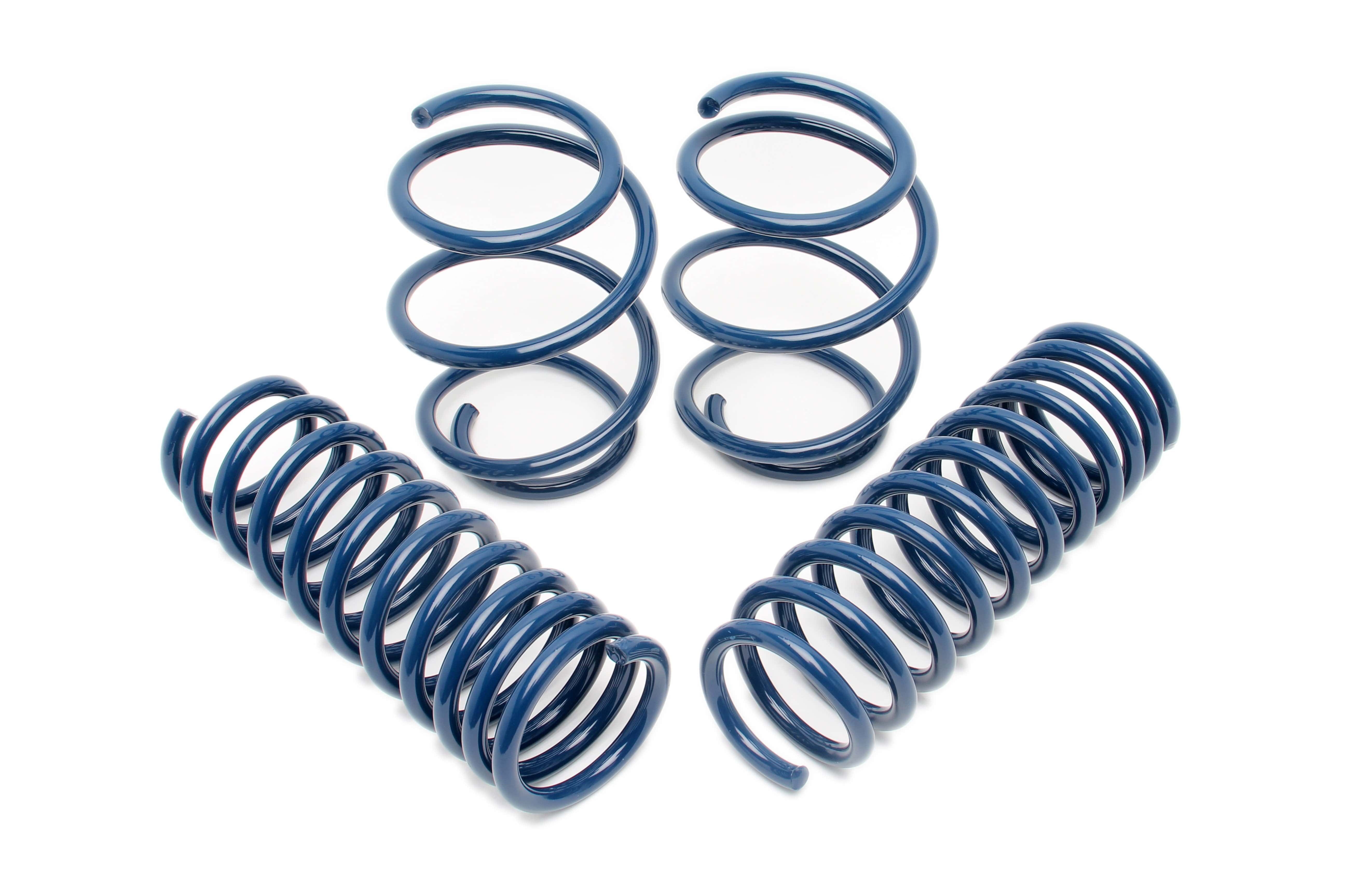 Kies-Motorsports Dinan DINAN PERFORMANCE SPRING SET - 2000-2003 BMW M5