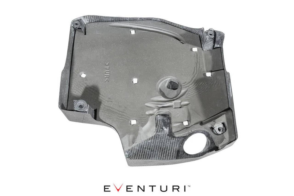 Kies-Motorsports Fabspeed Motorsports Eventuri BMW F-Chassis N55 Black Carbon Engine Cover