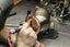 Kies-Motorsports Fabspeed Motorsports Fabspeed BMW M235i (F22) Sport Cat Downpipe