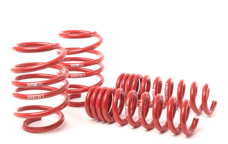 H&R 08-13 BMW M3 Coupe/M3 Sedan E92 Race Spring Secondary image