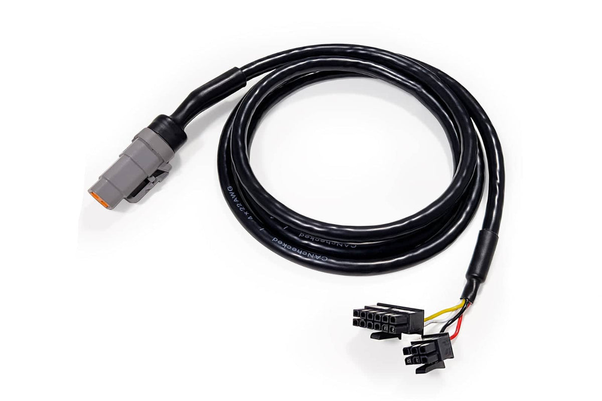 Kies-Motorsports IND Distribution CANchecked Connection Cable MFD15 Gen2 to DTM06-4S - 1.2m