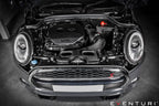 Kies-Motorsports iND Distribution Eventuri F56 Mini Cooper S Carbon Intake