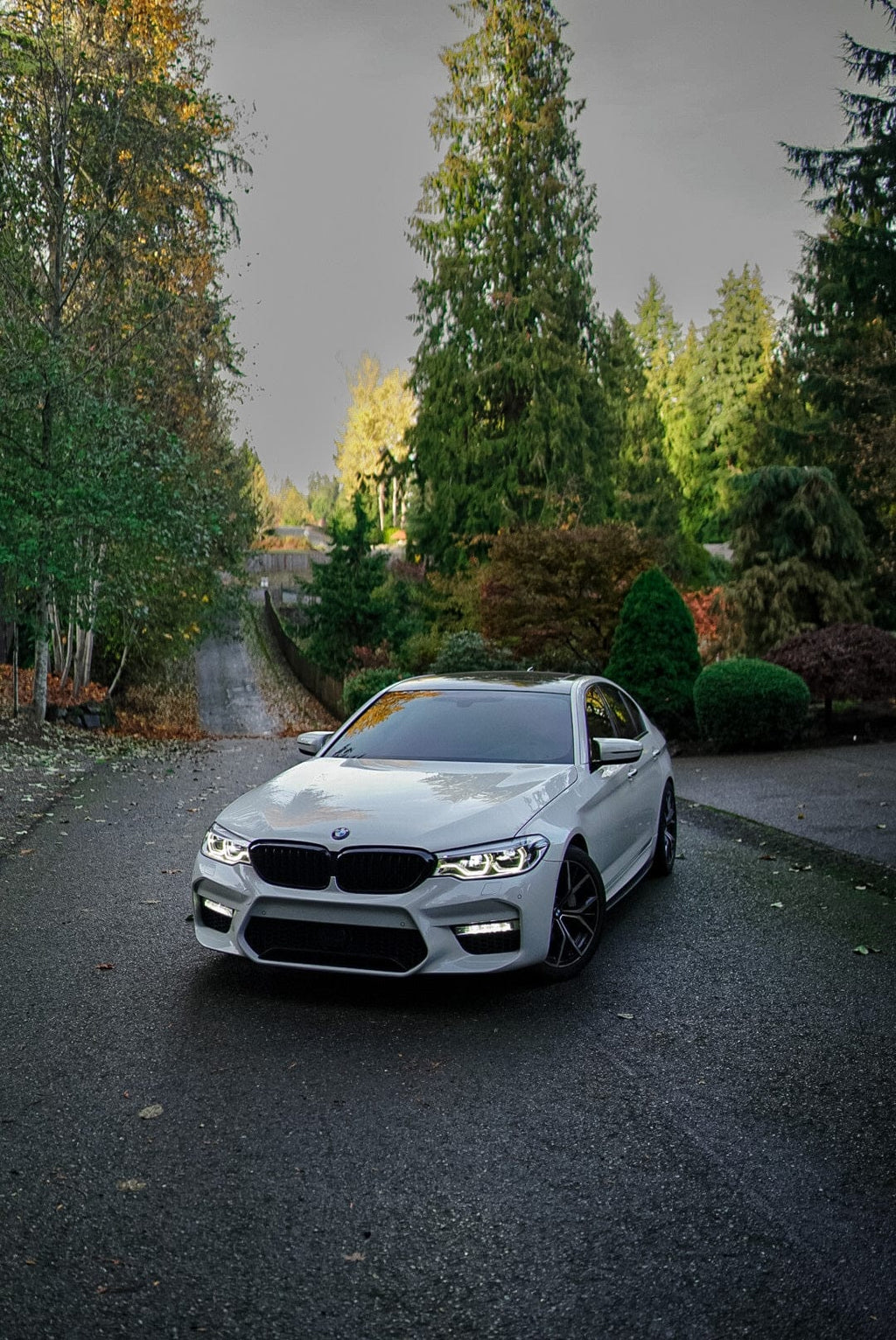 Kies Motorsports — additional view of 2017-2020 BMW 5 Series (G30 / G31) Pre-LCI M Sport Style Front Bumper Conversion
