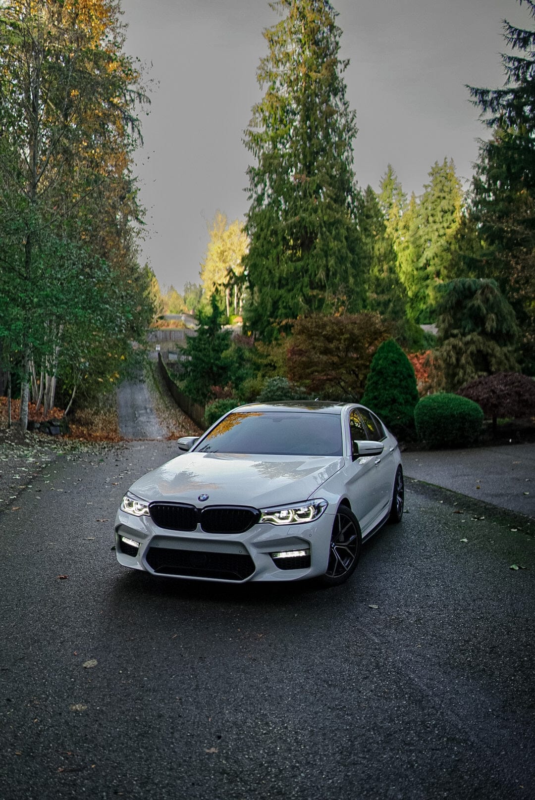 Kies Motorsports — additional view of 2017-2020 BMW 5 Series (G30 / G31) Pre-LCI M Sport Style Front Bumper Conversion