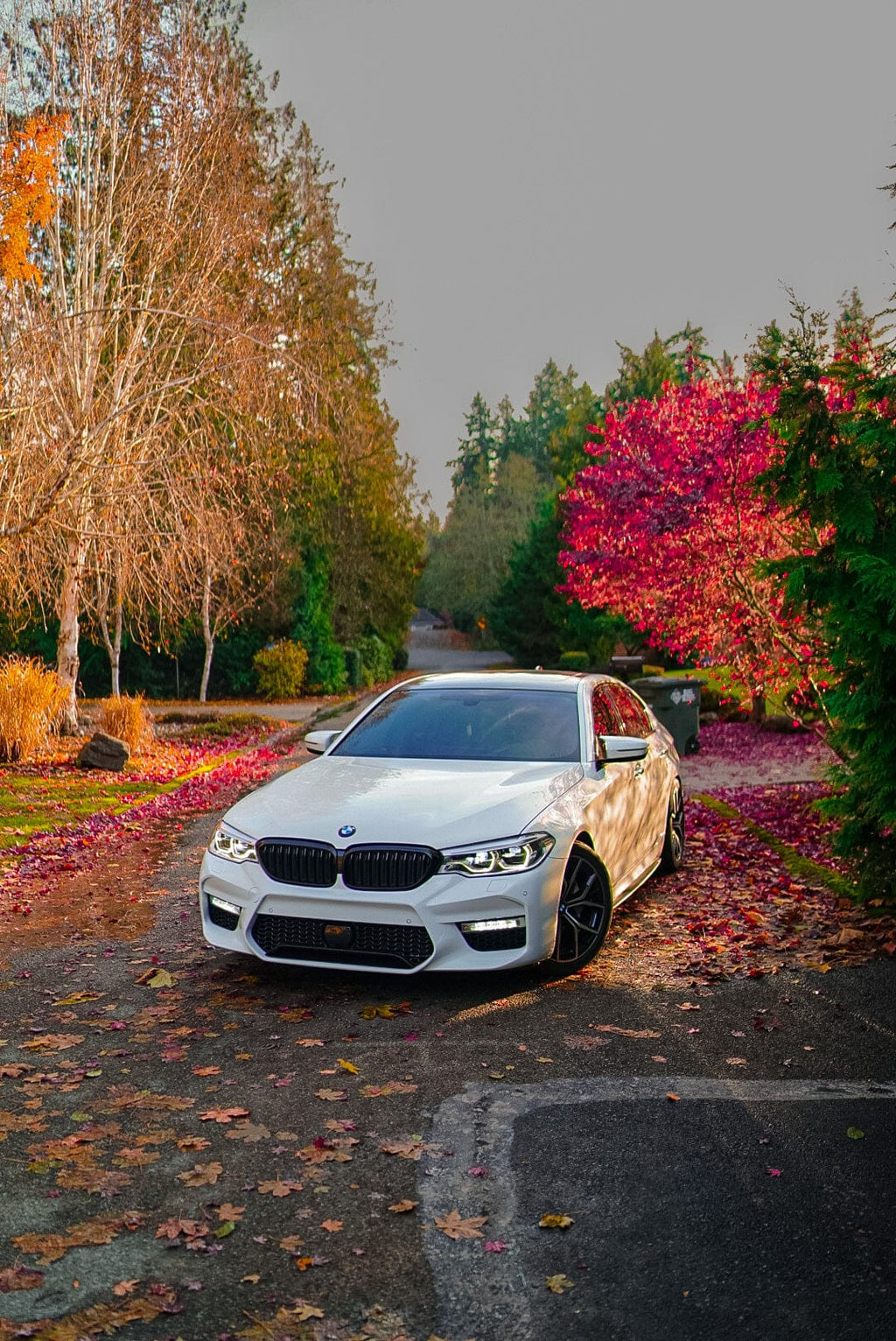 Kies Motorsports — additional view of 2017-2020 BMW 5 Series (G30 / G31) Pre-LCI M Sport Style Front Bumper Conversion