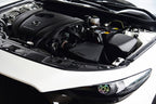 Kies-Motorsports MST MST 2020 Mazda 3 2.0 Cold Air Intake System (MZ-305)