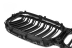 Kies-Motorsports NWCarbon Haus 20-23 X5 G05 Pre-LCI Double Slat Dry Carbon Fiber Grill