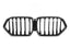 Kies-Motorsports NWCarbon Haus 20+ X6 G06 Pre-LCI Single Slat Dry Carbon Grills