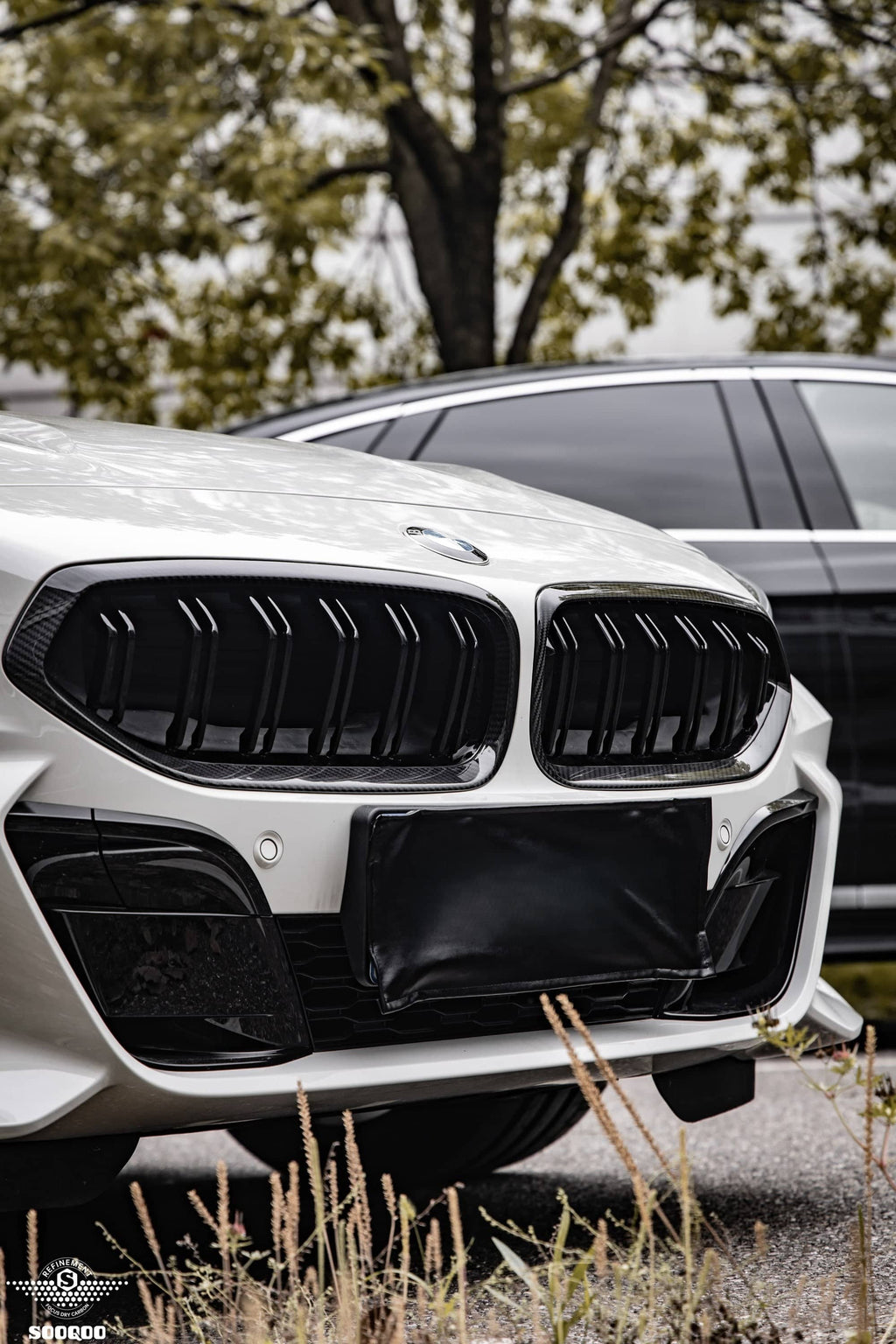 Kies-Motorsports NWCarbon Haus 20+ Z4 G29 Double Slat Dry Carbon Grill