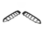 Kies-Motorsports NWCarbon Haus 20+ Z4 G29 Double Slat Dry Carbon Grill