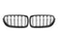 Kies-Motorsports NWCarbon Haus 5 Series F10 Double Slat Dry Carbon Fiber Grill