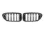 Kies-Motorsports NWCarbon Haus 5 Series G30 Pre-LCI Double Slat Dry Carbon Grill