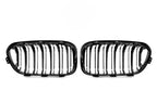 Kies-Motorsports NWCarbon Haus F20 LCI Double Slat Dry Carbon Grills