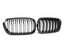 Kies-Motorsports NWCarbon Haus F20 LCI Double Slat Dry Carbon Grills