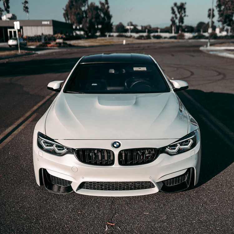 F8X Dry Carbon Fiber Splitters Secondary image