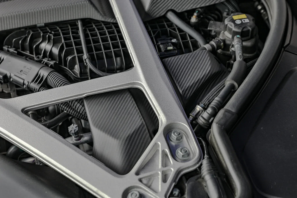 Kies-Motorsports NWCarbon Haus G8X Dry Carbon DME/ECU Replacement Cover