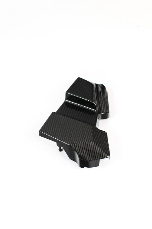 Kies-Motorsports NWCarbon Haus G8X Dry Carbon DME/ECU Replacement Cover
