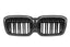 Kies-Motorsports NWCarbon Haus IX3 G08 BEV Double Slat Dry Carbon Fiber Grill