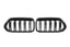 Kies-Motorsports NWCarbon Haus X2 F39 Double Slat Dry Carbon Fiber Grill