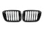 Kies-Motorsports NWCarbon Haus X3/X4 G01/G02/G08 Pre-LCI Single Slat Dry Carbon Fiber Grill
