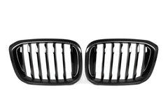 Kies-Motorsports NWCarbon Haus X3/X4 G01/G02/G08 Pre-LCI Single Slat Dry Carbon Fiber Grill