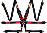 Kies-Motorsports Racequip RaceQuip Black FIA CAMLOCK 6pt 2in Pull Down Lap FHR