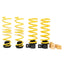 Kies-Motorsports ST Suspensions ST BMW M5 (F10) Sedan / M6 (F06) Gran Coupe Adjustable Lowering Springs