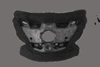 Kies-Motorsports Stilo ST6 EPP CHIN PAD