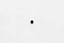 Kies-Motorsports Wilwood Wilwood bolt 3/8-24X.38 LG set screw holo-knurl PT black holo-krome