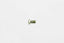 Kies-Motorsports Wilwood Wilwood bolt 3/8-24X.787 LG banjo 775-03P